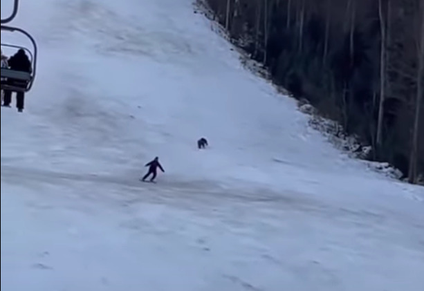 Скриншот видео с канала <a class="yt-simple-endpoint style-scope yt-formatted-string _" spellcheck="false" href="https://youtu.be/cRsM5kLKd1M" dir="auto">BrasovNET</a> на YouTube