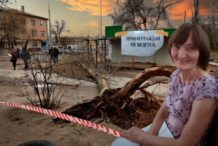 64-летняя Людмила Зюбанова скончалась по пути на работу. Женщину убило рухнувшее из-за урагана дерево 64-летняя Людмила Зюбанова скончалась по пути на работу. Женщину убило рухнувшее из-за урагана дерево