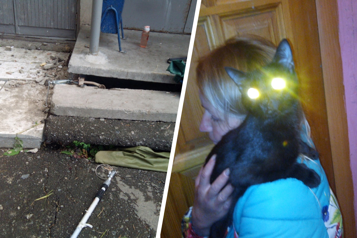 «Плиту подняли домкратом, котю вытащили удочкой»: зооспасатель из Екатеринбурга разобрал крыльцо, чтобы достать кота