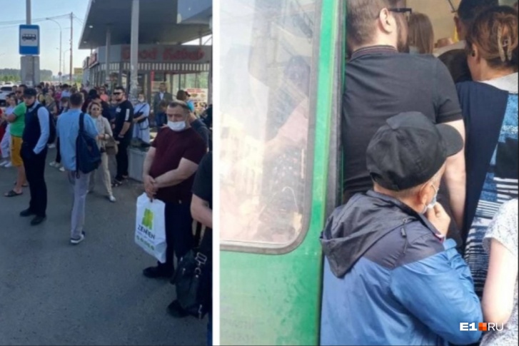 Несколько месяцев читатели жалуются нам на давку в автобусах из Академического Несколько месяцев читатели жалуются нам на давку в автобусах из Академического