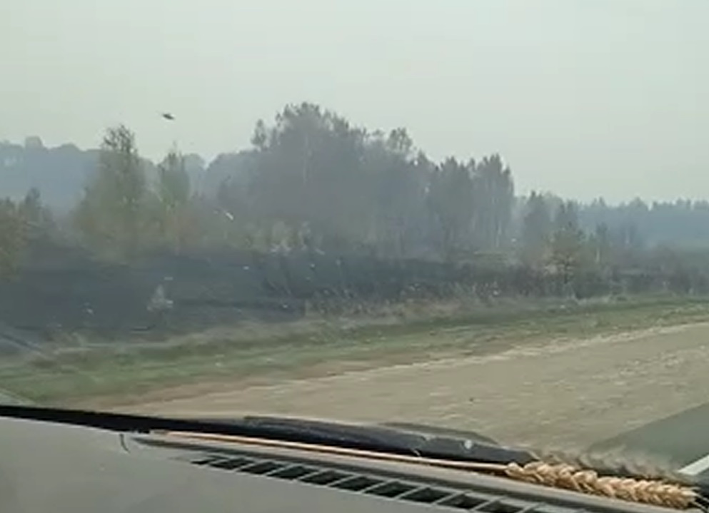 «Бедная природа»: водители сняли выжженную после лесных пожаров землю рядом с Каменском-Уральским
