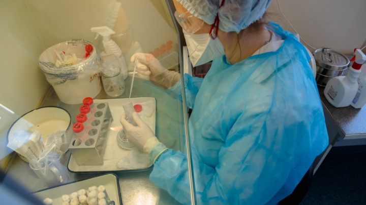 Заболевают быстрее, чем выздоравливают: в Югре 260 новых случаев коронавируса
