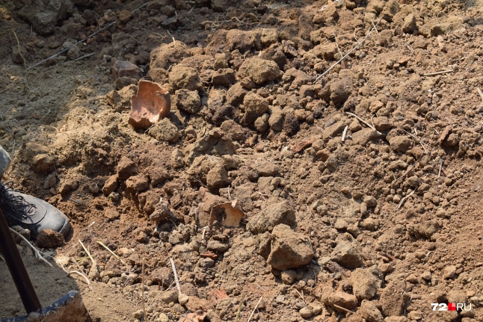 Второй из найденных черепов сохранился плохо: его нашли расколотым на несколько частей