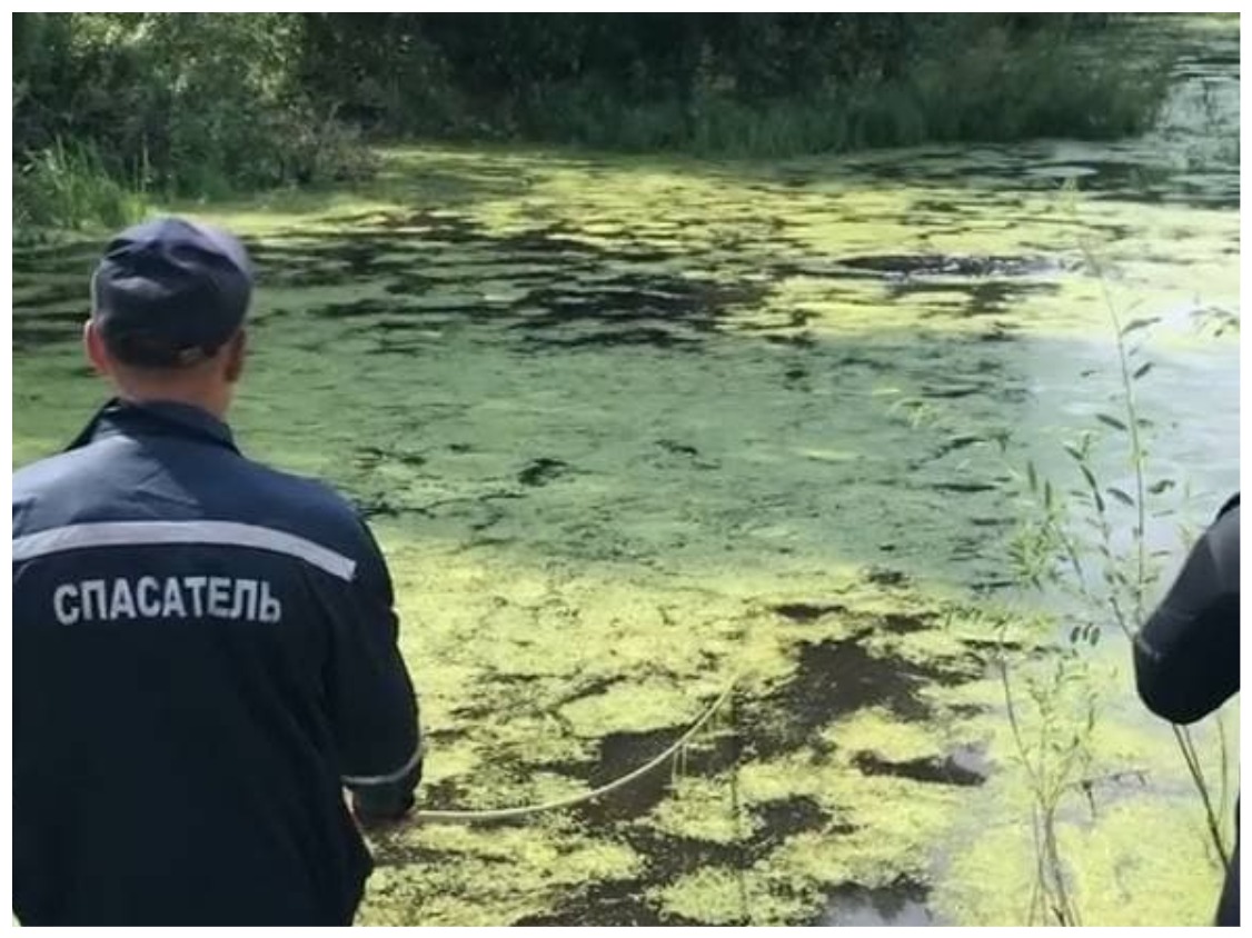 Водолазы исследуют озера Водолазы исследуют озера