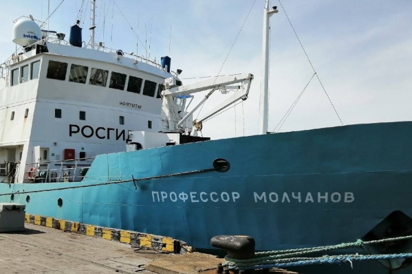 Экспедиция вышла в Норвежское море на «Профессоре Молчанове» Экспедиция вышла в Норвежское море на «Профессоре Молчанове»