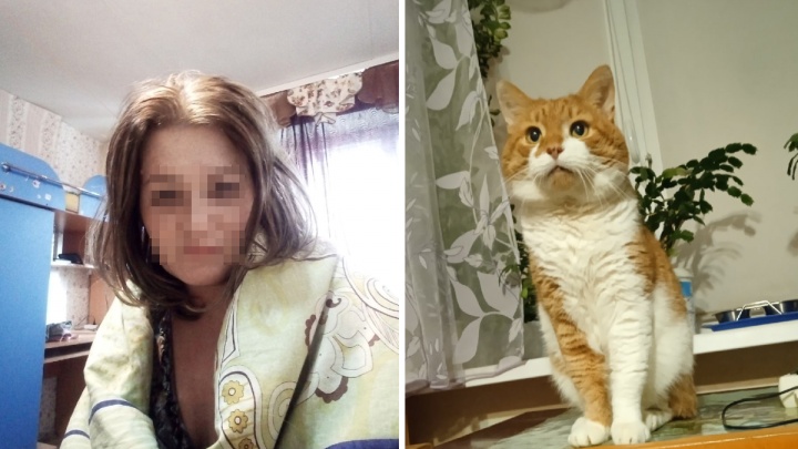 Полиция возбудила уголовное дело об убийстве кота в Северодвинске