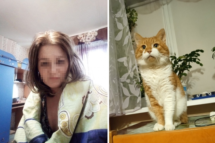 Более 56,4 тысячи человек потребовали возбудить уголовное дело из-за убийства кота Более 56,4 тысячи человек потребовали возбудить уголовное дело из-за убийства кота