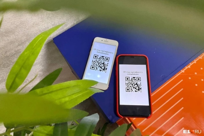 QR-коды в регионе вводят с <nobr class="_">30 октября</nobr> QR-коды в регионе вводят с <nobr class="_">30 октября</nobr>