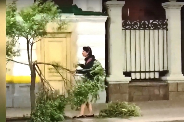 Одно из трех сломанных деревьев спасти не удалось Одно из трех сломанных деревьев спасти не удалось