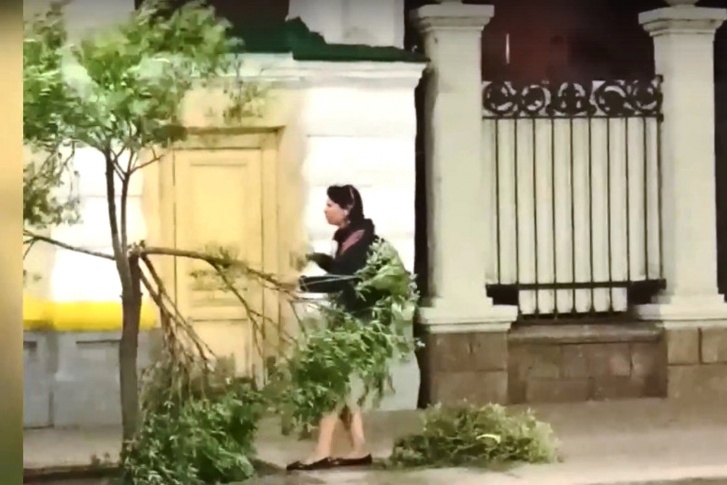 Девушка ломала деревья с завидным упорством Девушка ломала деревья с завидным упорством