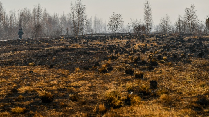 Штрафы за сжигание травы в России увеличили с 3 до 15 тысяч рублей