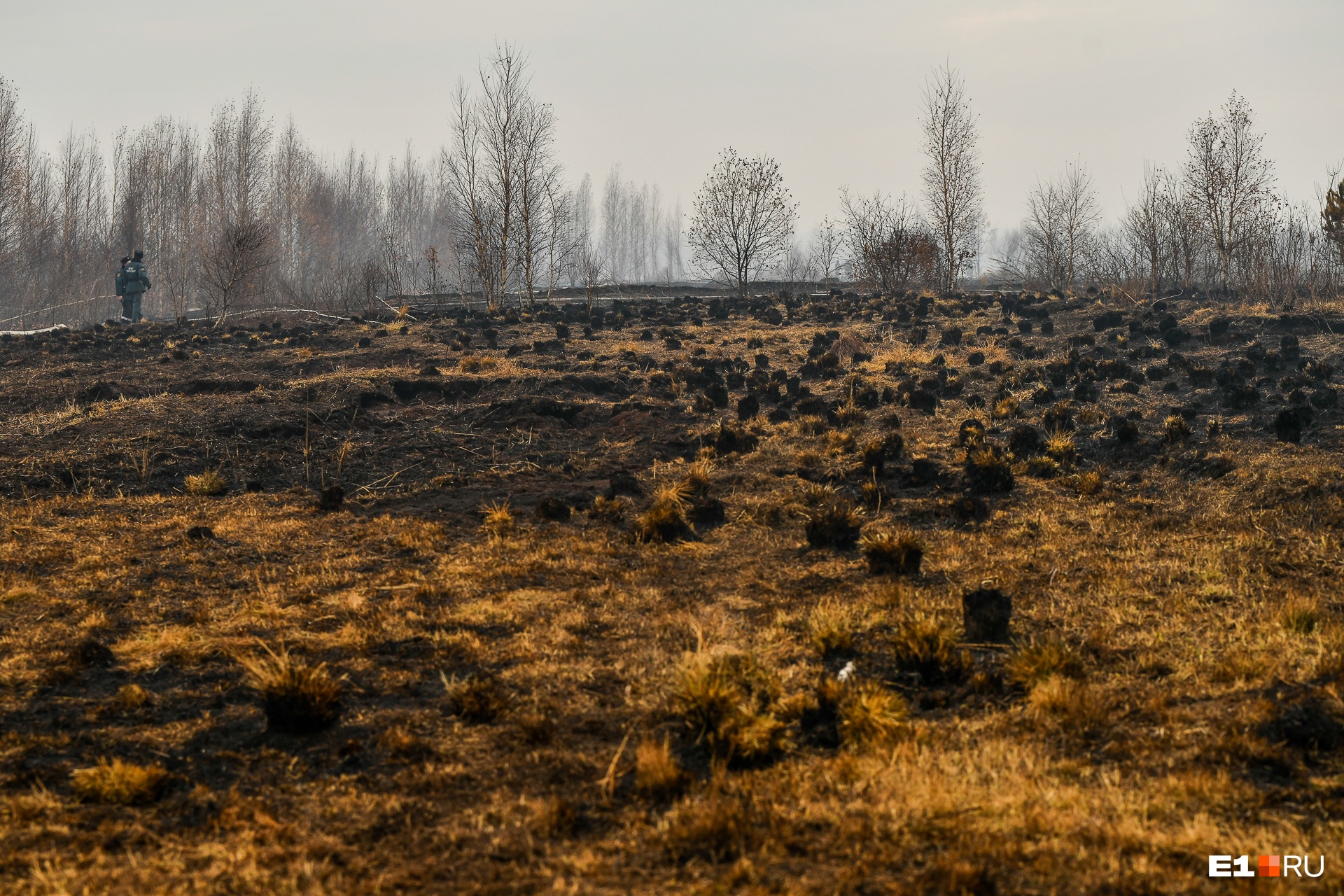 Штрафы за сжигание травы увеличатся в 5 раз с 8 июня в России