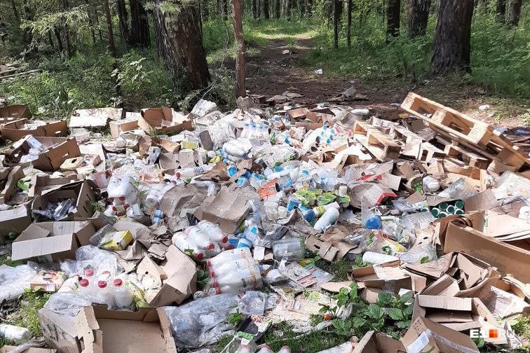 Гора из бутылок молока, «Агуши» и сметаны: неизвестные выбросили продукты посреди леса в Екатеринбурге