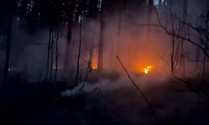 Под Екатеринбургом десять жителей деревни пытаются спасти ее от лесного пожара