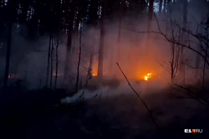 Под Екатеринбургом десять жителей деревни пытаются спасти ее от лесного пожара