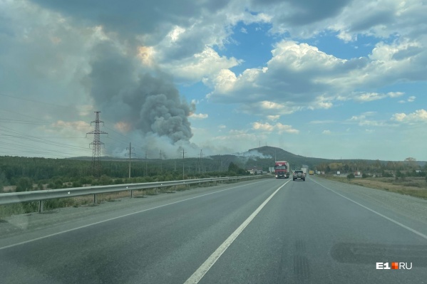 У Волчихи полыхает лес У Волчихи полыхает лес