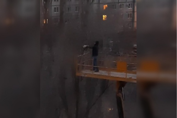 Момент спасения кота попал на видео Момент спасения кота попал на видео