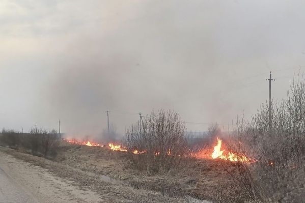 Поля полыхают по всей области Поля полыхают по всей области