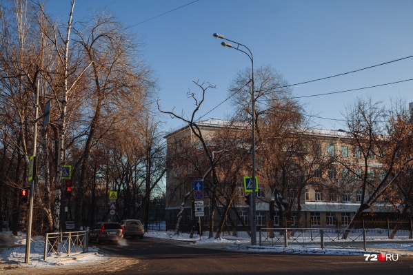 Пока на перекрестке все деревья остались нетронутыми Пока на перекрестке все деревья остались нетронутыми