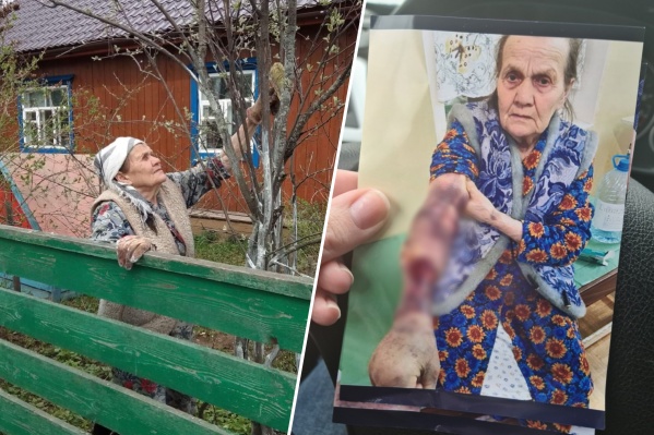 По словам одной из дочерей Анны Гавриловны, она всегда была бодра и активна. Например, на фото слева в свои 78 год назад она красит ветки. Фото справа сделано в больнице за несколько дней до смерти По словам одной из дочерей Анны Гавриловны, она всегда была бодра и активна. Например, на фото слева в свои 78 год назад она красит ветки. Фото справа сделано в больнице за несколько дней до смерти