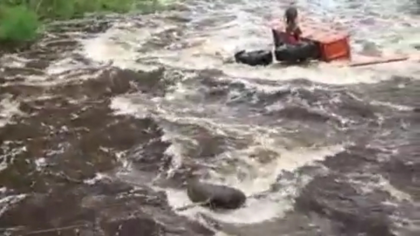 Скриншот видео