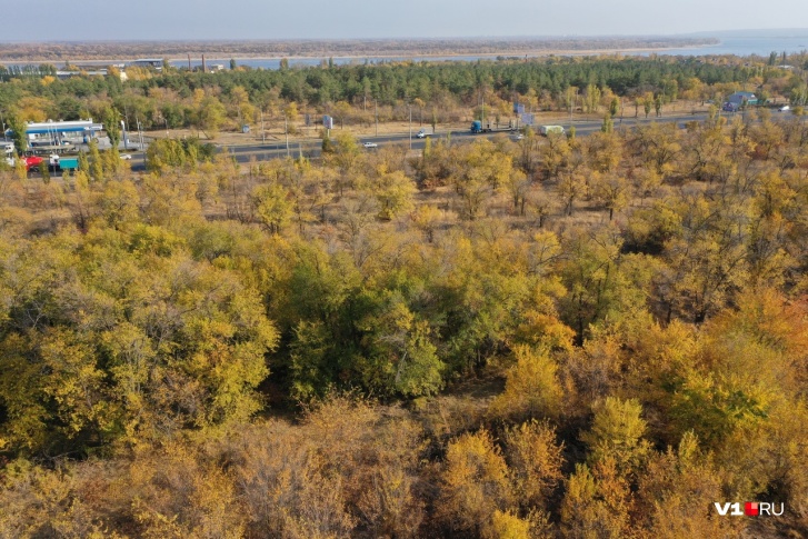 Вместо деревьев над Второй продольной будут возвышаться крыши зданий Вместо деревьев над Второй продольной будут возвышаться крыши зданий