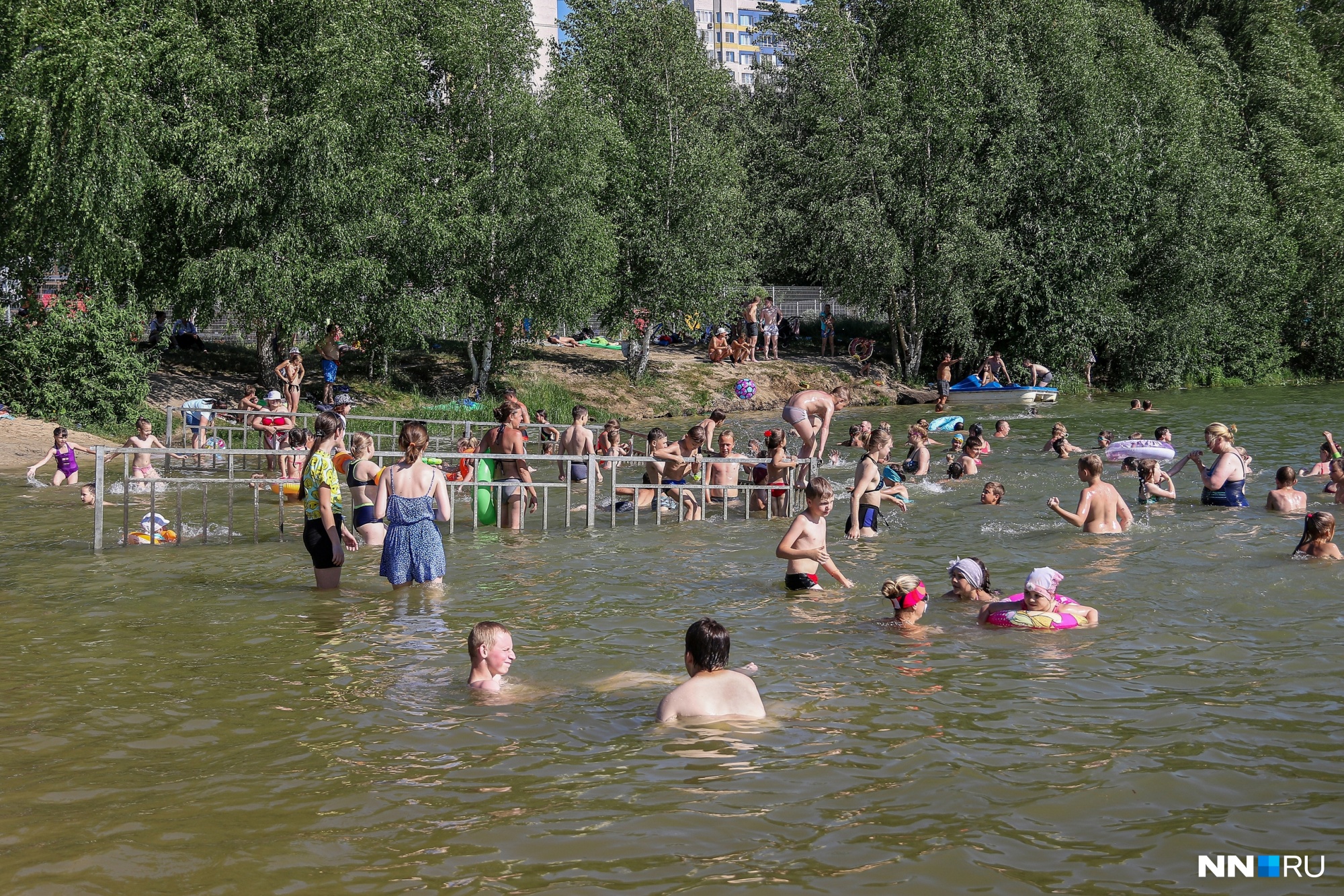 Россельхознадзор проверит 17 водоемов Нижегородской области из-за случаев заболевания церкариозом