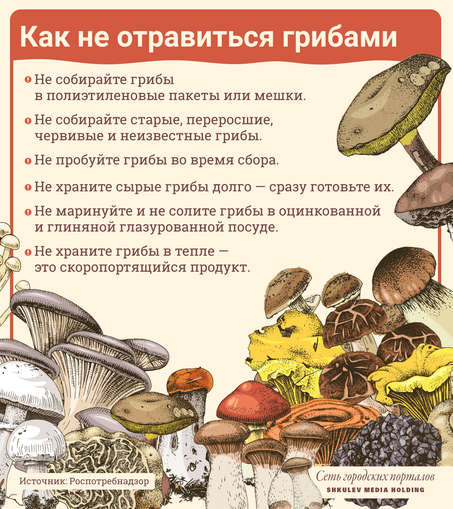 Шесть простых правил, чтобы не отравиться грибами