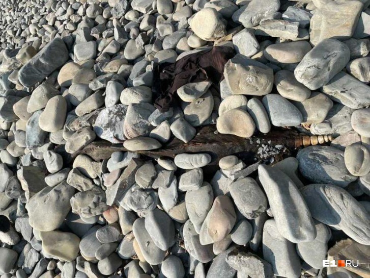 Эти останки лежат на пляже Анапы