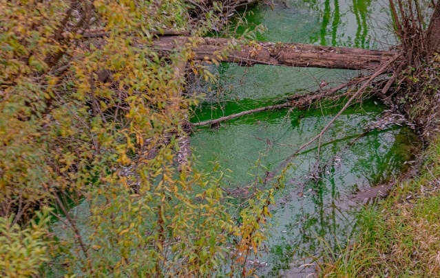 Жители правого берега Перми снова могут обнаружить зеленую воду