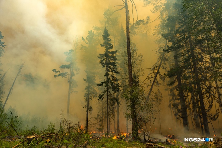 Лесные пожары не первый год становятся причиной смога в крае