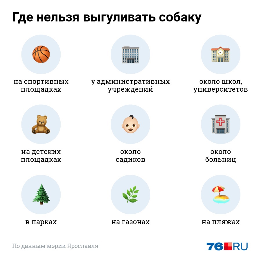 У площадок и больниц выгуливать песика не стоит У площадок и больниц выгуливать песика не стоит