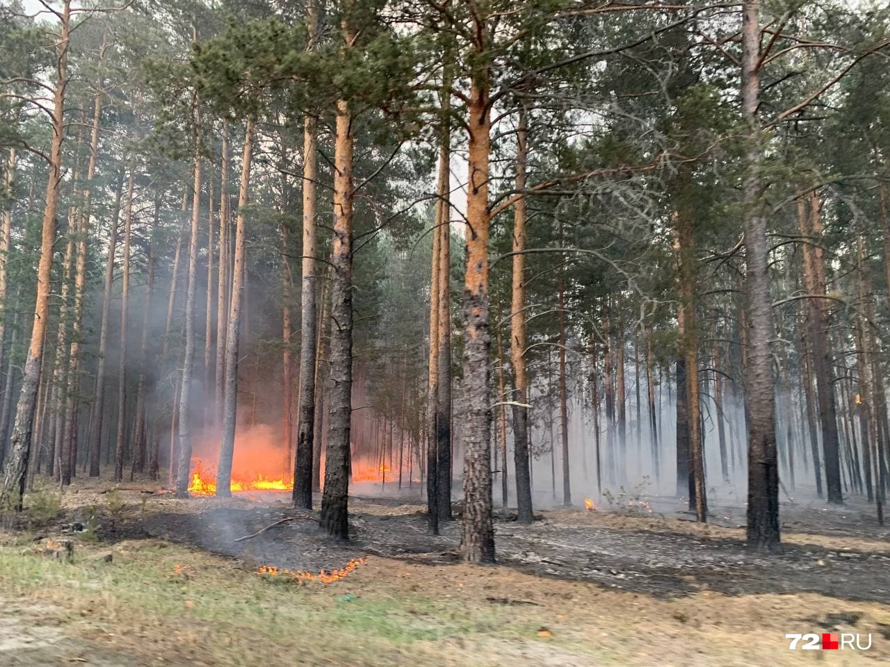 Пожар в районе Муллашей