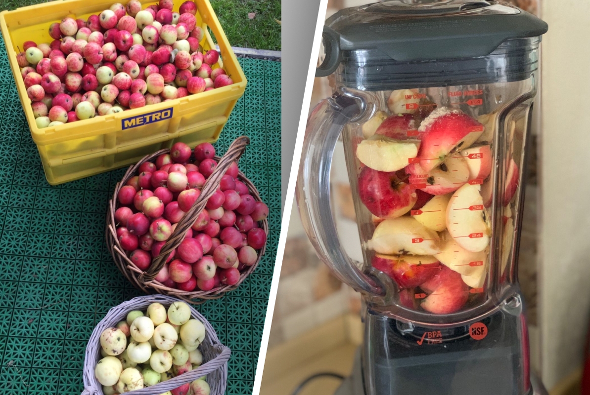 Спасаем яблоки правильно: как приготовить дома вкусную пастилу без лишних сложностей
