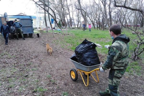 В Ростове-на-Дону одной из самых крупных локаций субботника стала прибрежная зона реки Темерник В Ростове-на-Дону одной из самых крупных локаций субботника стала прибрежная зона реки Темерник