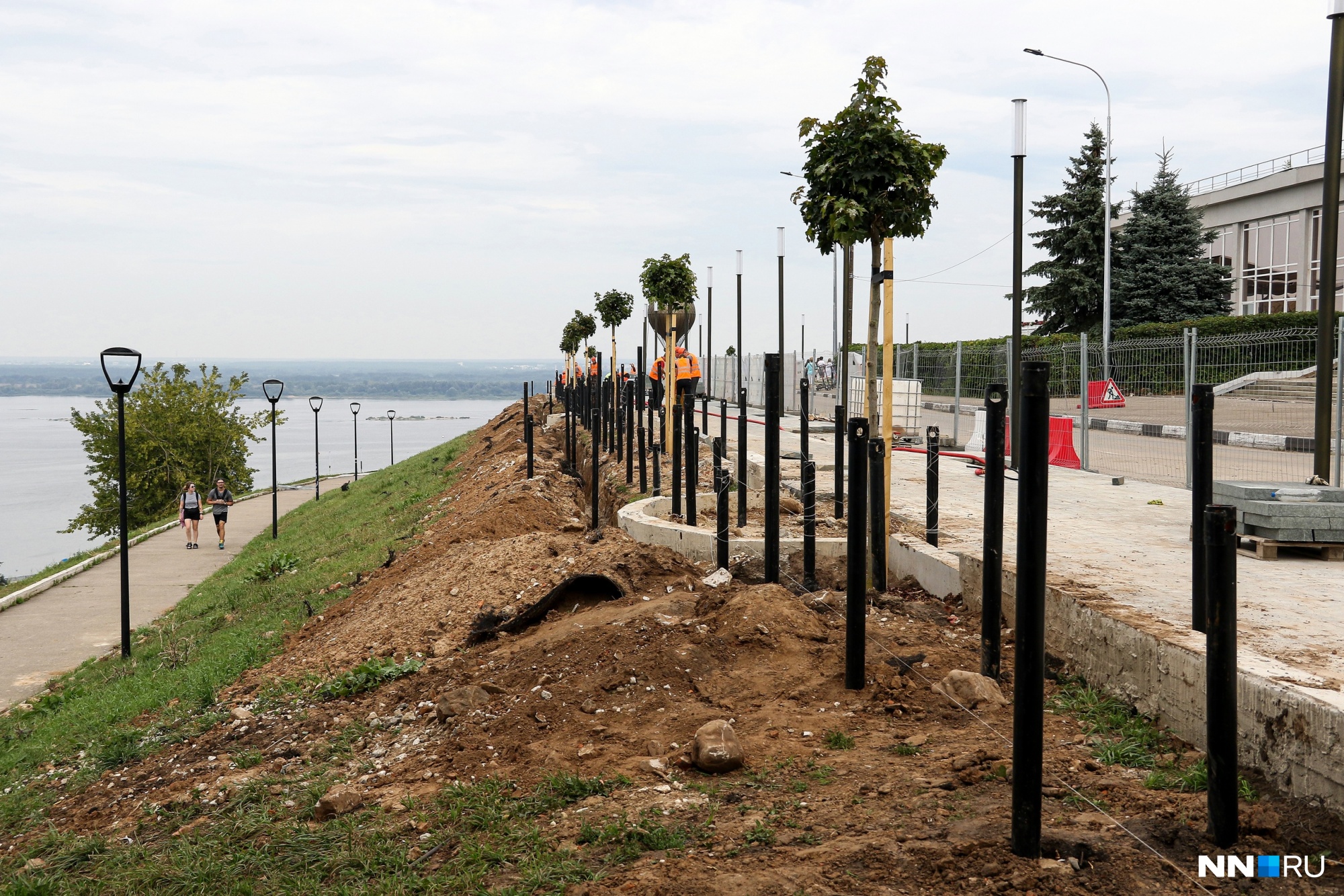 Вдоль пешеходной дорожки на Заломова уже высадили деревья