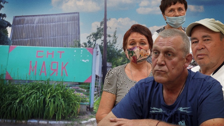 «Нас просто душат!»: в Волгограде мусорный оператор терроризирует СНТ