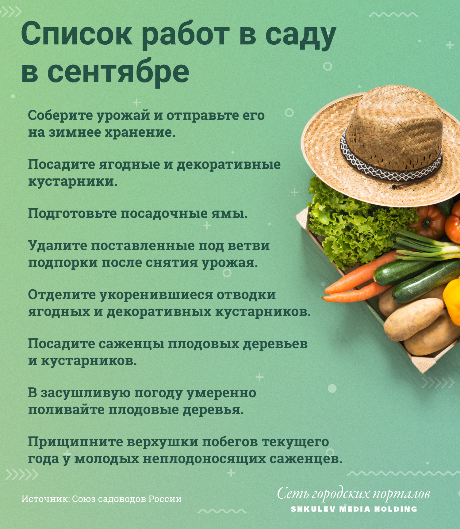 Чем заняться в саду в первой половине сентября