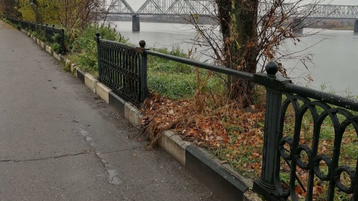 «Еще вчера ограждение было целое»: в Ярославле на Волжской набережной украли секции чугунной ограды