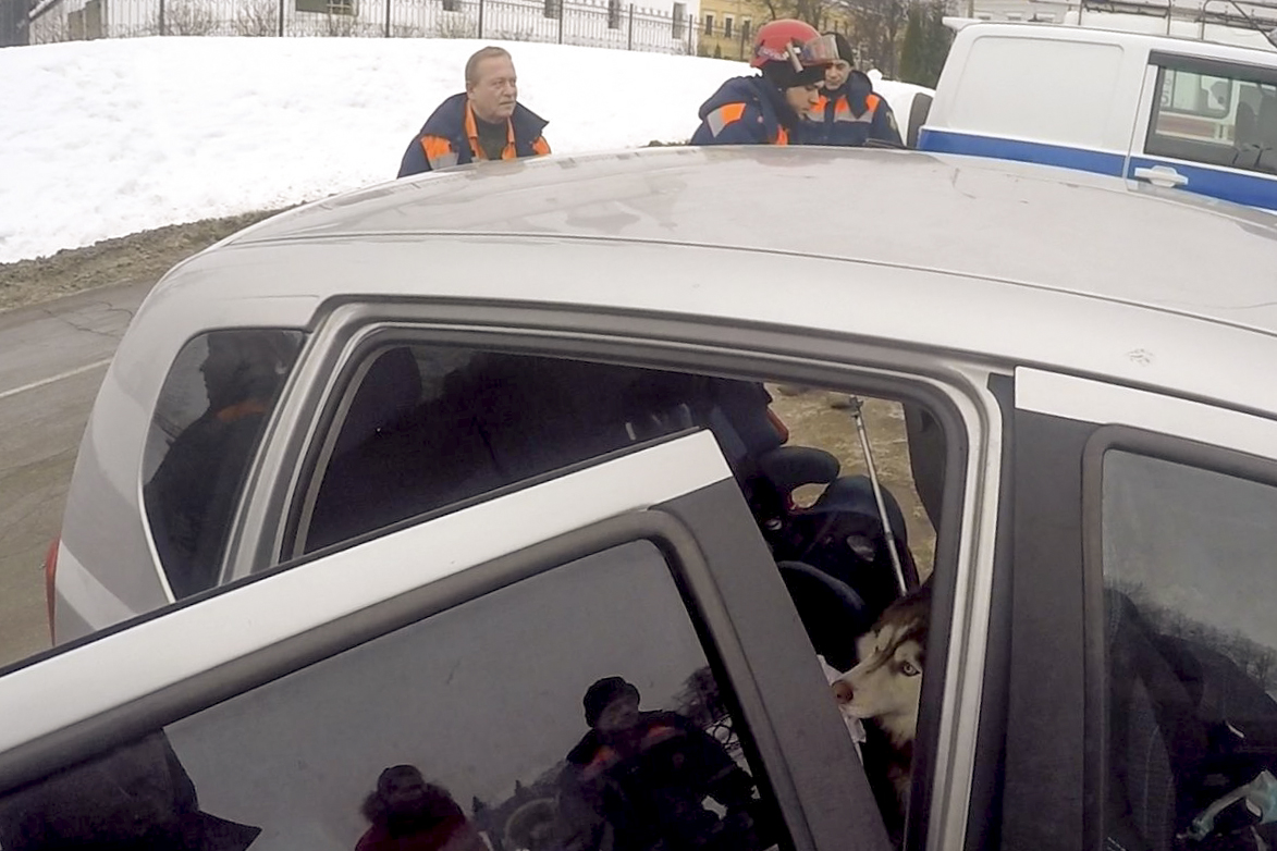 Женщина не смогла самостоятельно выманить пса Женщина не смогла самостоятельно выманить пса