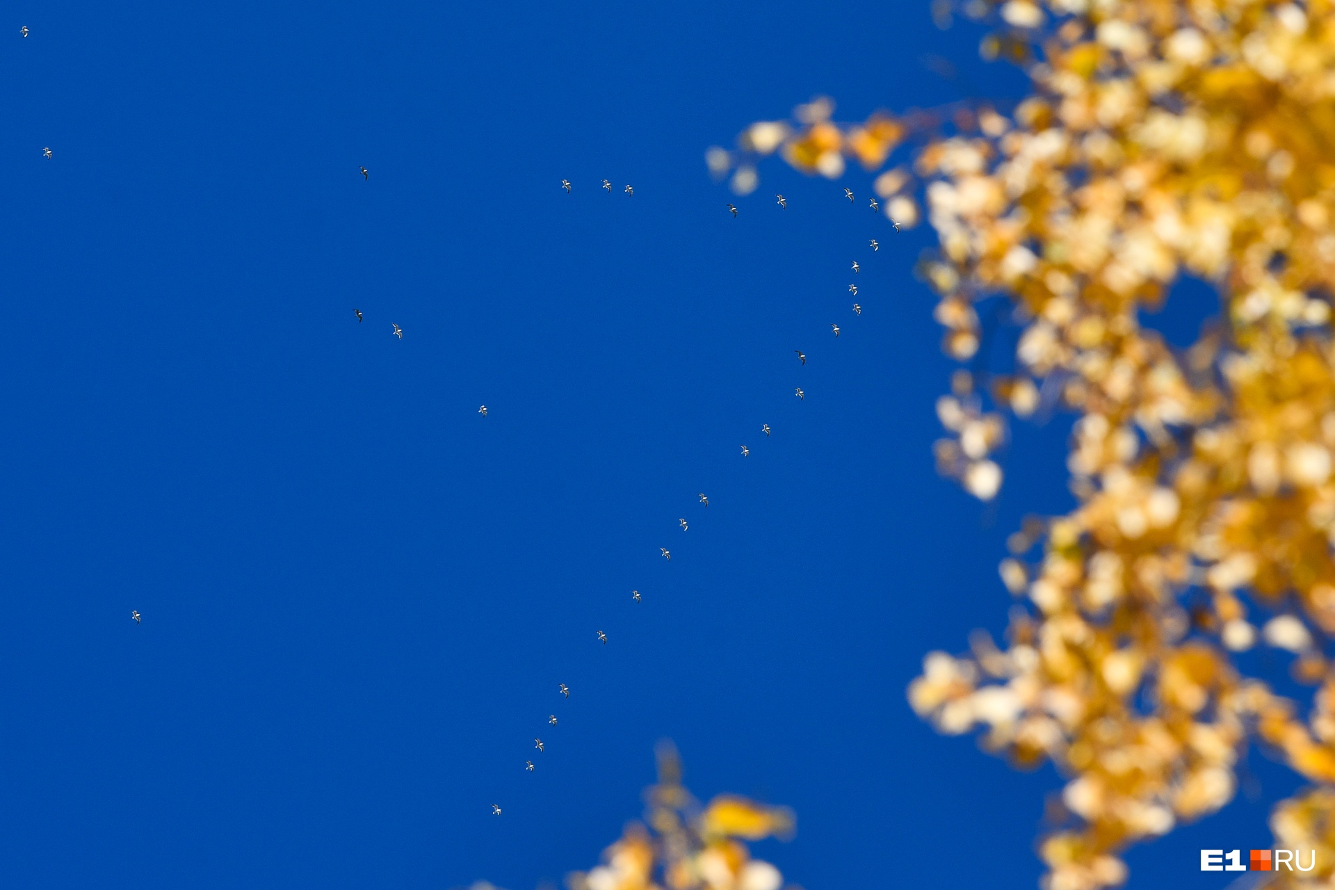 Красно-желтый релакс: фоторепортаж, после которого вы полюбите осень