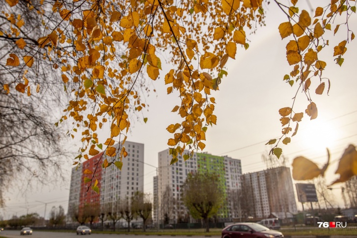В выходные будет хорошая погода для прогулок В выходные будет хорошая погода для прогулок