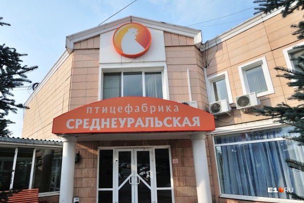 Среднеуральская птицефабрика готовится законсервировать производство Среднеуральская птицефабрика готовится законсервировать производство