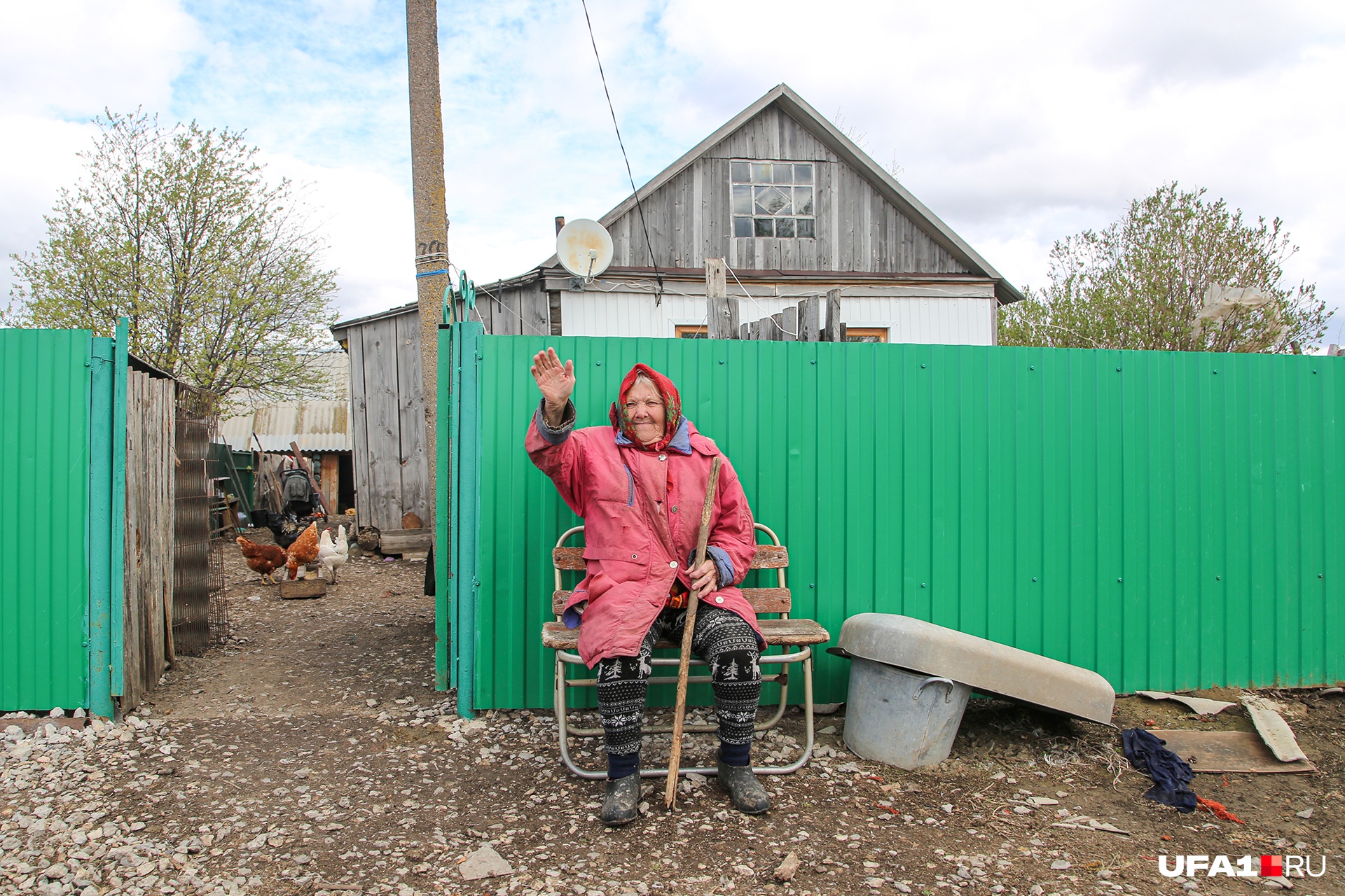 Зеленый забор Шерстобитовых — самый модный на деревне