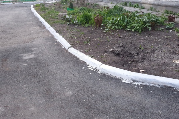 Бордюры покрашены — город в порядке Бордюры покрашены — город в порядке