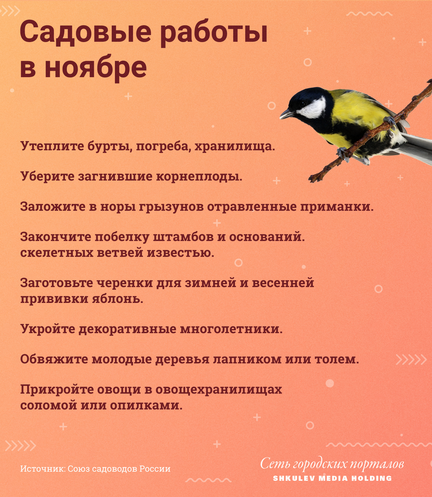 Отличный садовый план для первой половины ноября