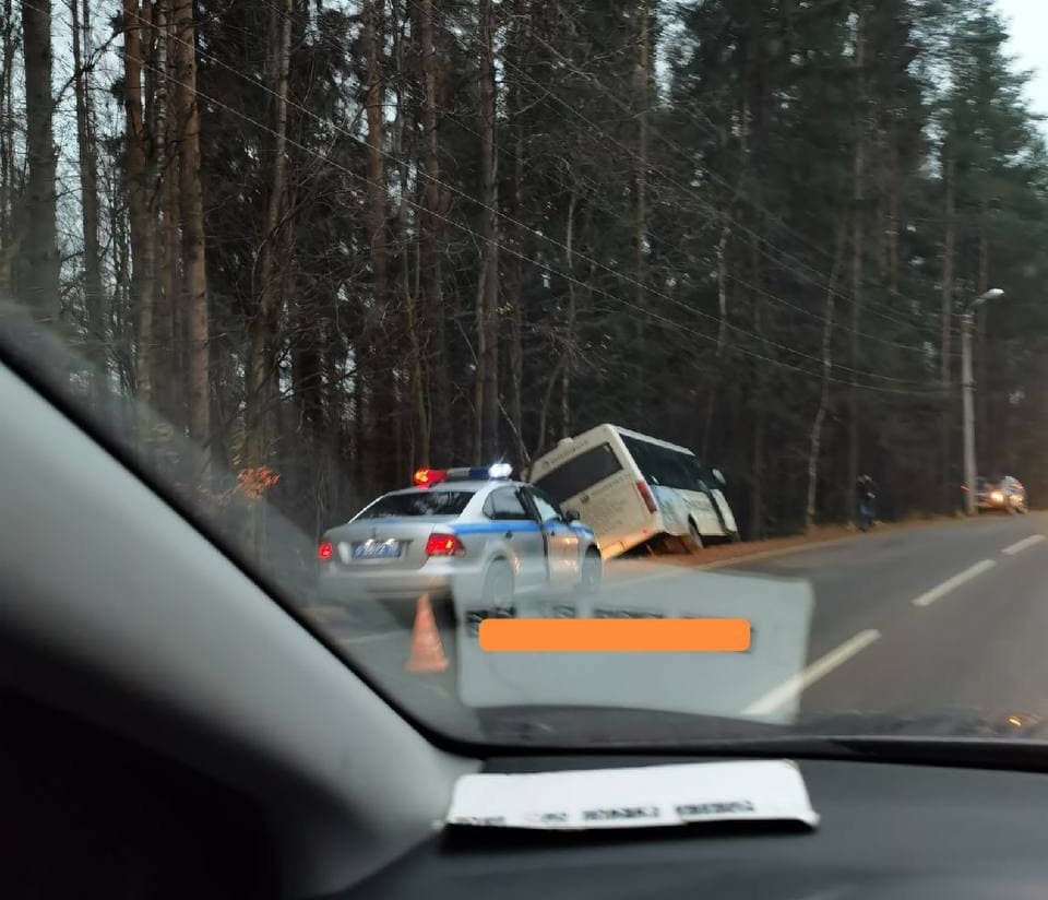 Автобус с сотрудниками онкоцентра в Песочном врезался в дерево. Водитель-старожил мог умереть до аварии