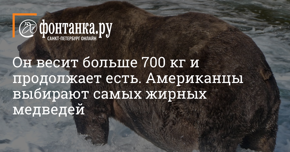 Вес большой интересное. Вес большой интересное. Эмбер рахди я вешу 300 кг. Эмбер рахди. Вес тела больше силы тяжести.