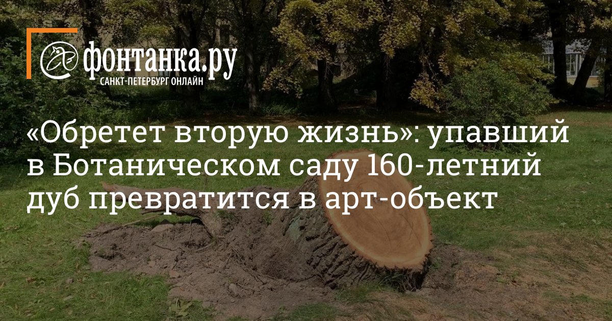 Дон Сад Колесников Интернет Магазин Дон Сад Колесников Интернет Магазин