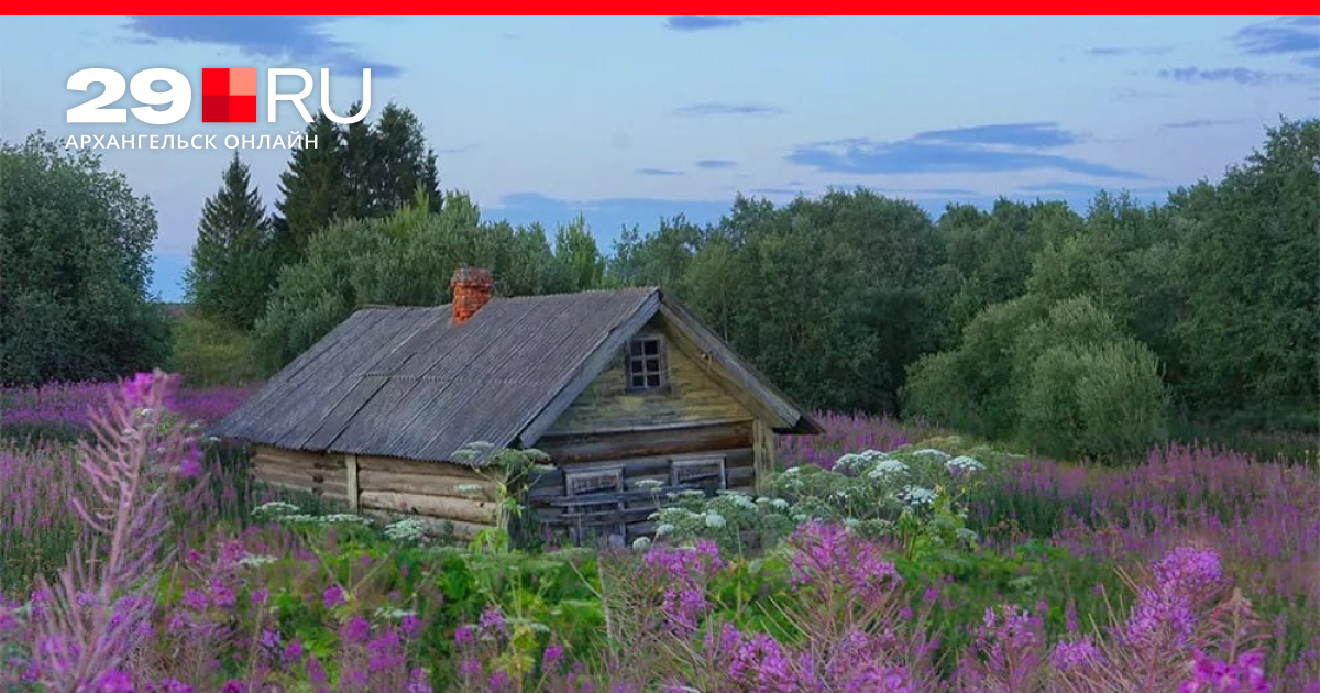 Лета архангельск. Деревня Халуй Каргопольский район. Деревня большой Халуй.